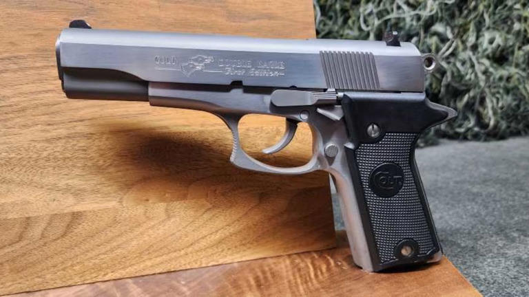 Handguns You Polish but Never Trust