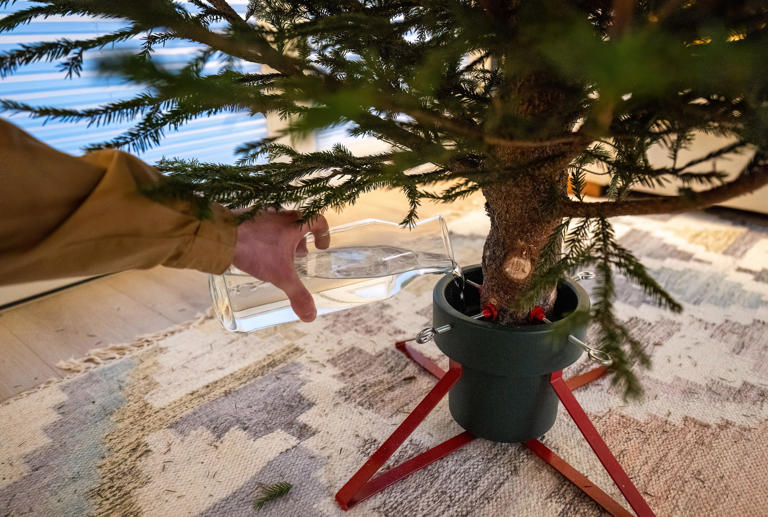 How to buy a quality real Christmas tree without breaking the bank
