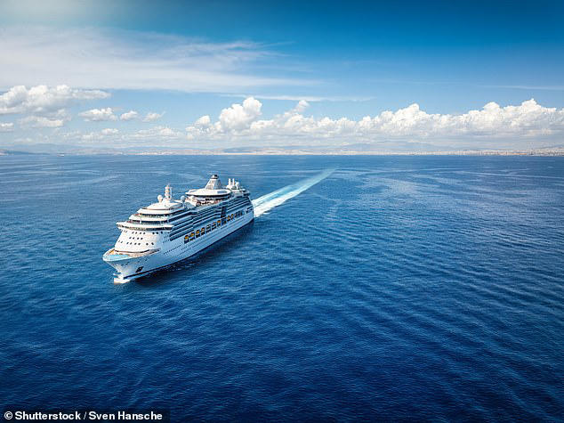 Couple who sold everything to live on a cruise ship reveal the downside ...