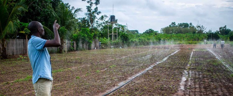 Face au changement climatique : La BAD pilote plusieurs instruments financiers pour soutenir les pays africains