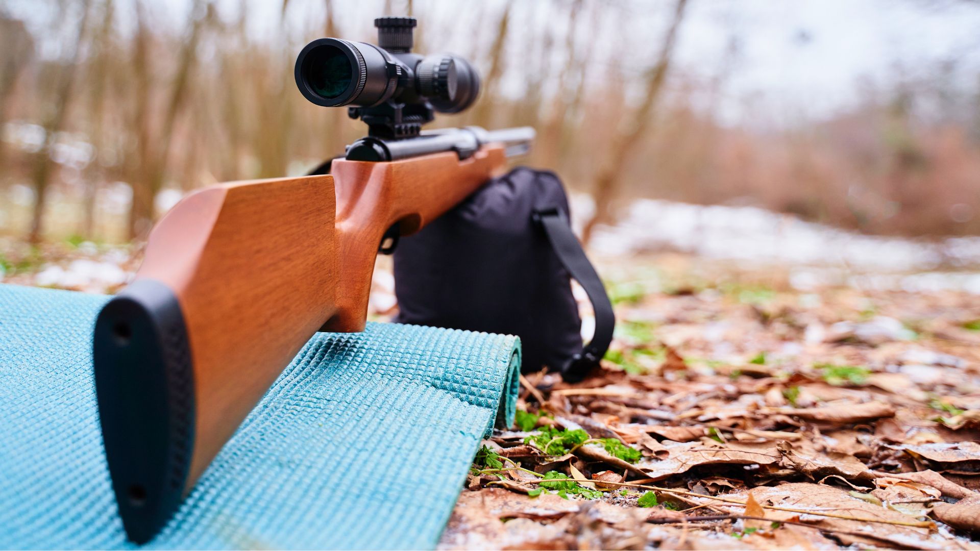 Rifles too pretty to drag to the range
