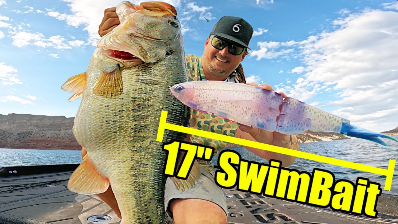 Fishing giant baits all day delivers surprising results