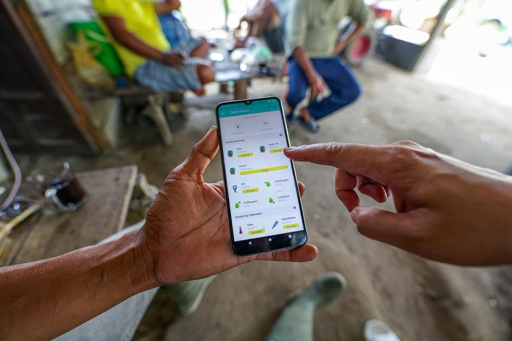 Mengenal Kembali Ketahanan Pangan Riau: Petani Cabai Kampar Bangkit