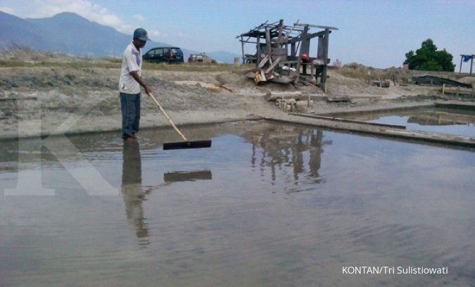 Industri Waspadai Gangguan Produksi Jika Larangan Impor Garam Tidak Berdasar Data
