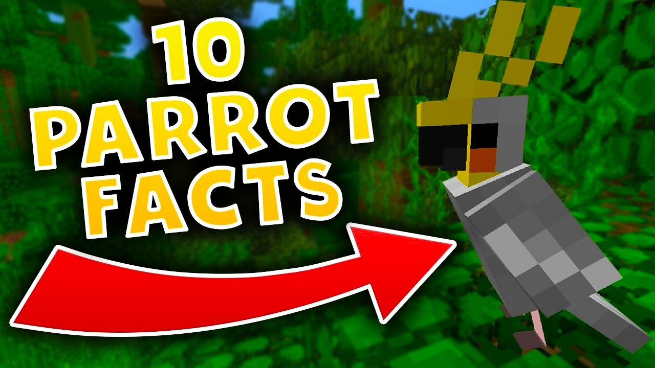 10 Fun Minecraft Parrot Facts Every Player Should Know