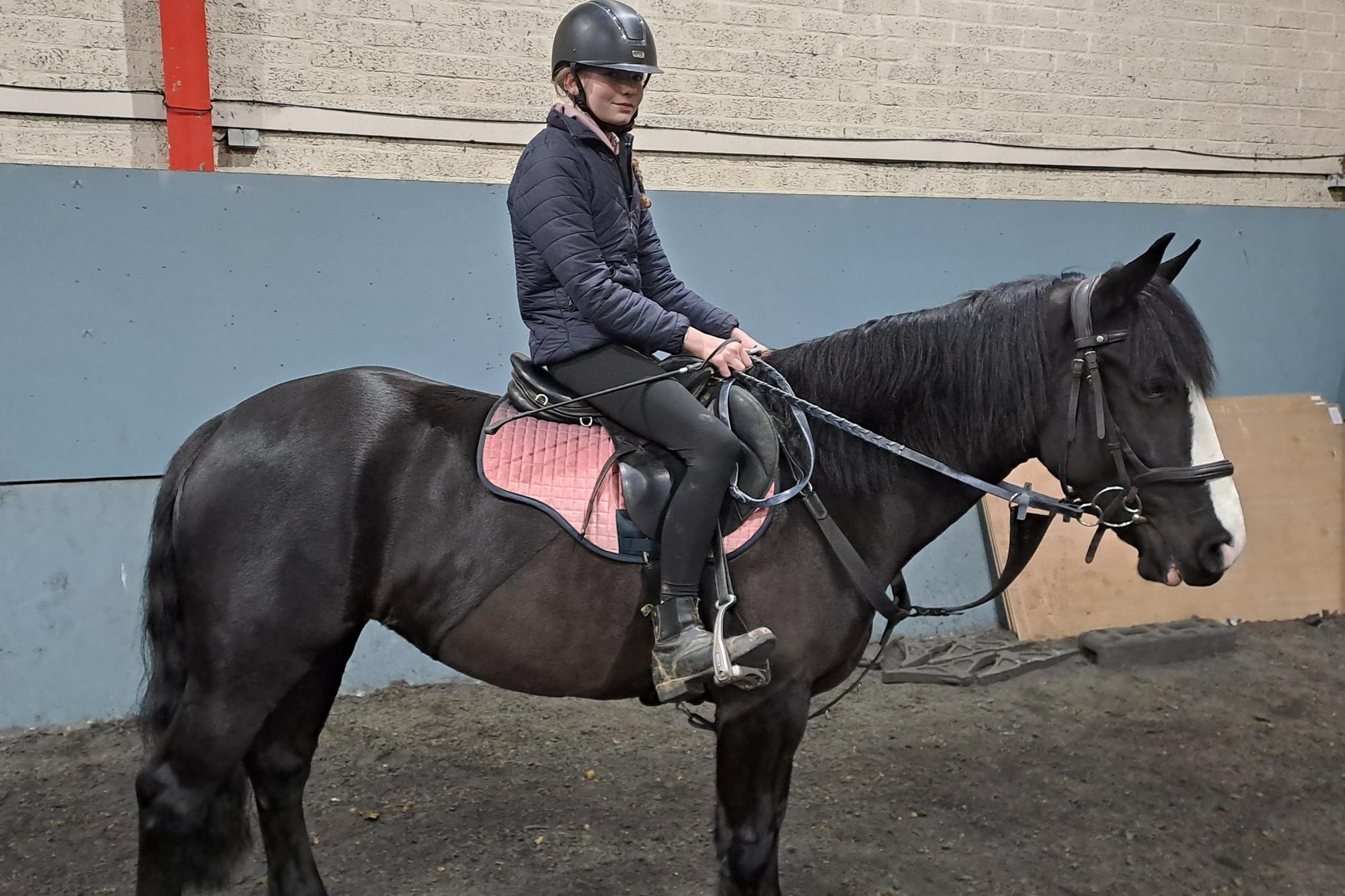 Horse Week: Ecclesville’s popular showjumping league continues