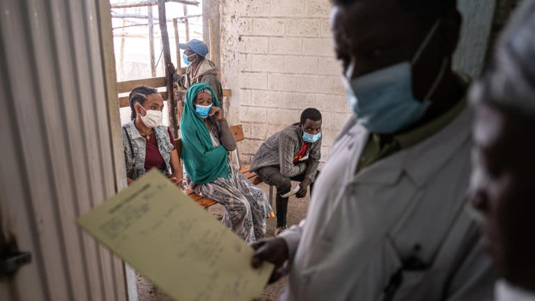 Three confirmed deaths from Marburg virus in Ethiopia, three more suspected