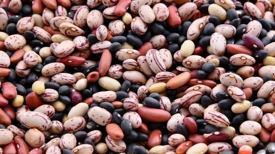 How healthy are beans? Expert explains why they're ‘true nutritional ...