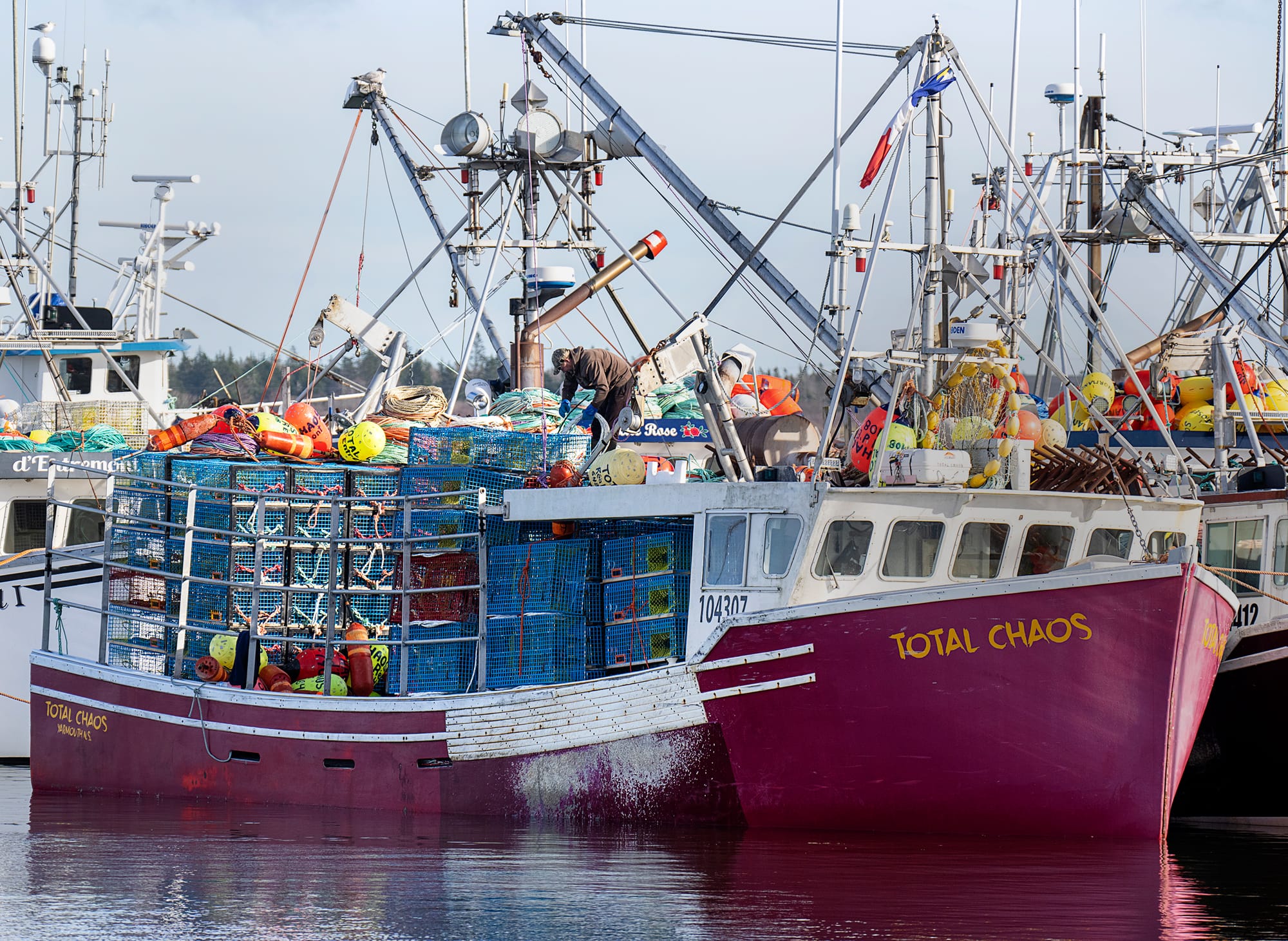 B.C. asked feds to crack down on potential money laundering in fishing ...