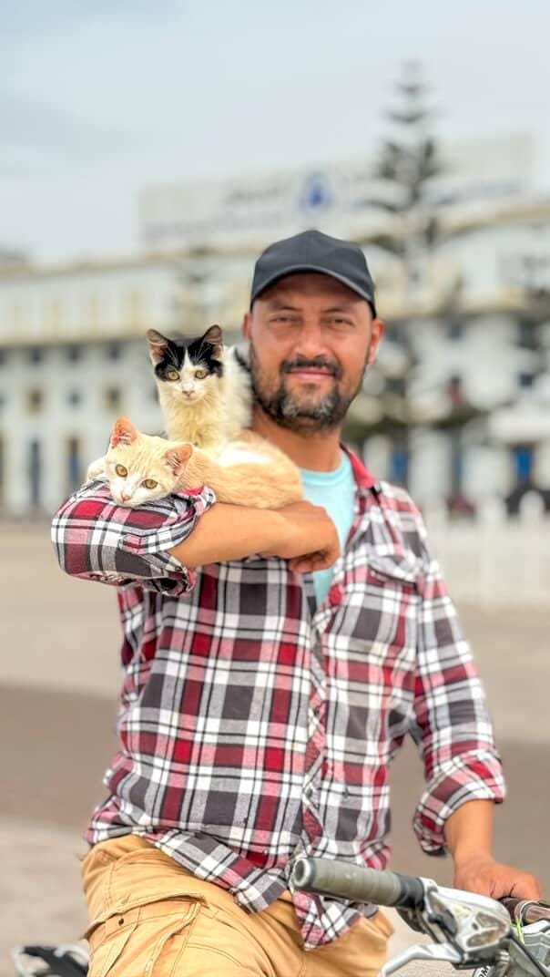 Supercats in Essaouira : The man with shoulder-riding cats