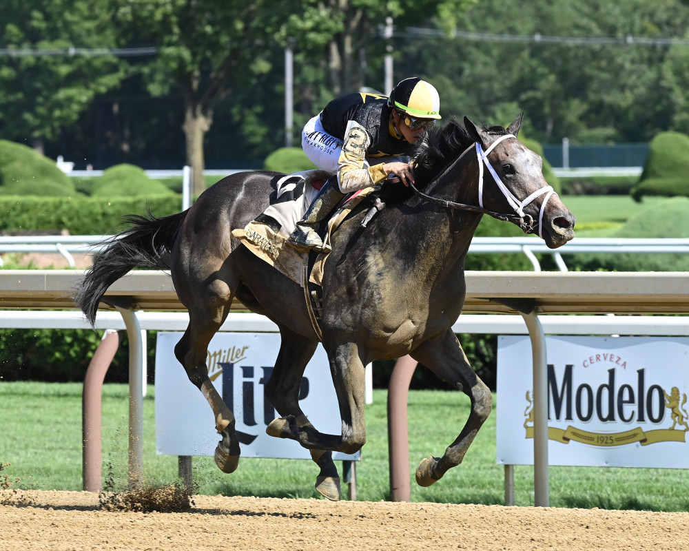 First mare scanned in foal to Grade 2 winner Showcase