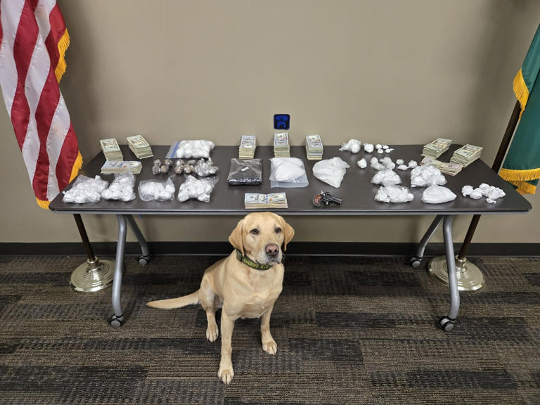 King County makes million-dollar drug bust with ties to Sinaloa Cartel