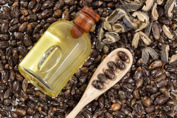 Best natural oils for dry skin and hair