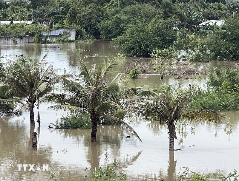 Miền Trung tiếp tục mưa rất to, cục bộ có nơi lượng mưa trên 700mm
