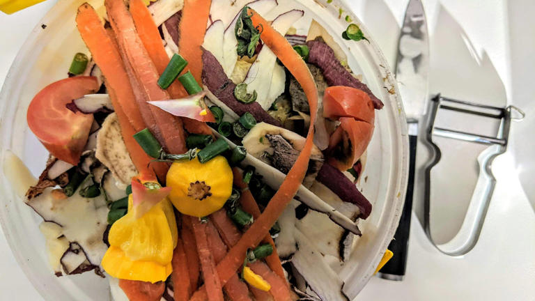 Everything You Should Never Stick In The Compost Bin