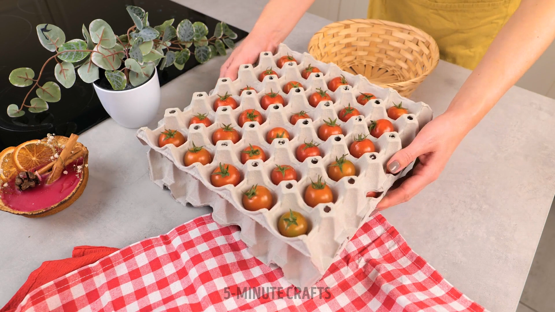 Essential Food Preservation Hacks for Budget Savers