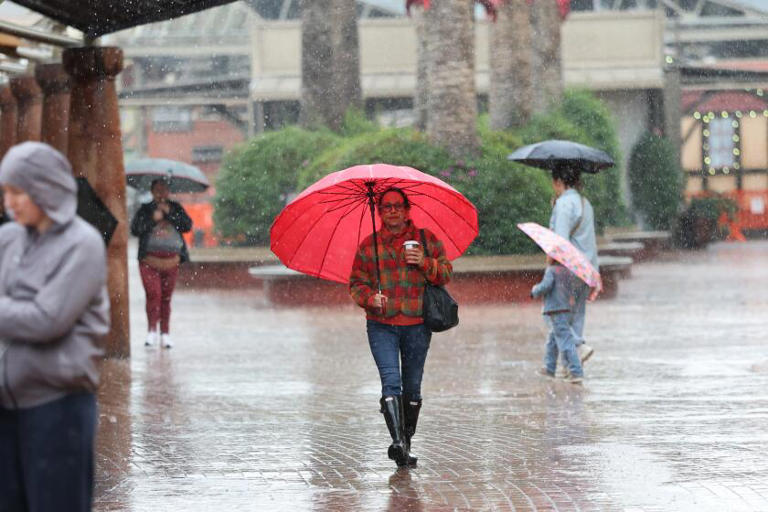 Rocks fall, toppled trees block roadways in SoCal amid storm; flood ...
