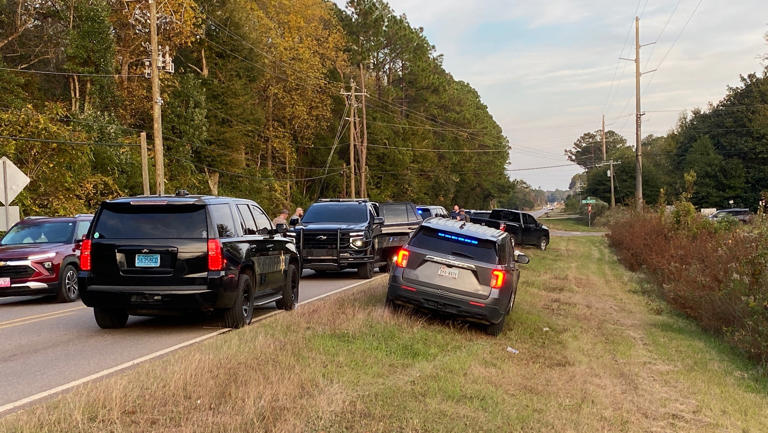 2 in custody after chase ends in crash in south Mobile County