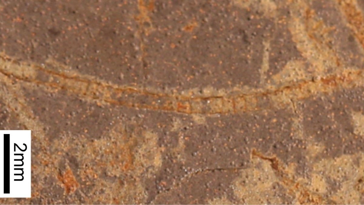 Traces Of Photosynthetic Lifeforms 1 Billion Years Older Than Previous ...