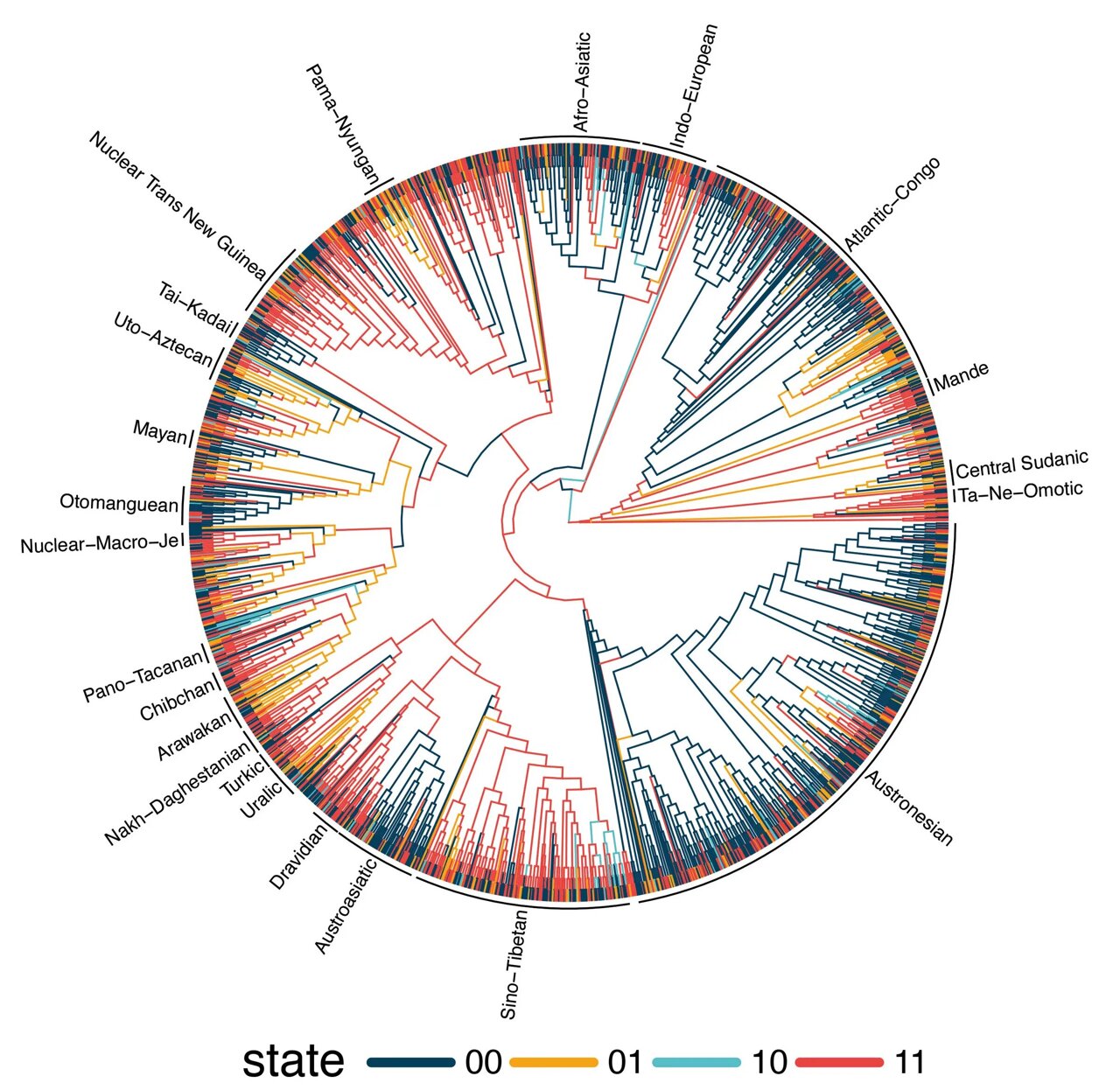 Enduring patterns in world's languages: One-third of grammatical ...