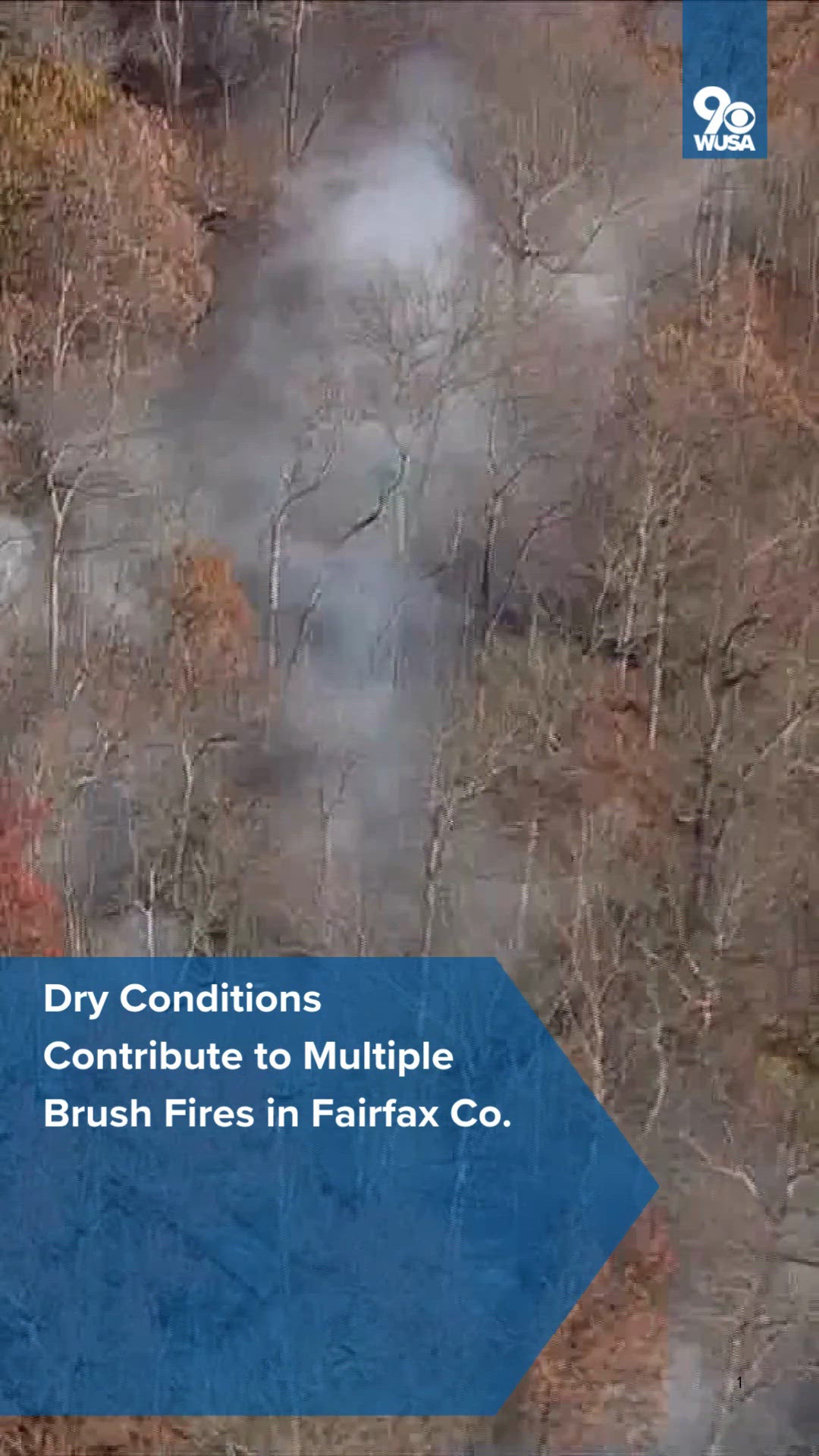 Dry Conditions Contribute to Multiple Brush Fires in Fairfax County