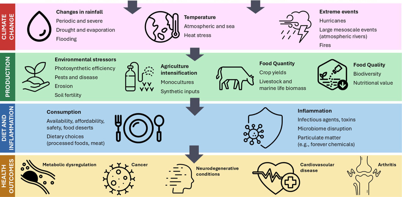How the intersection of modern diets, climate, and food systems is ...