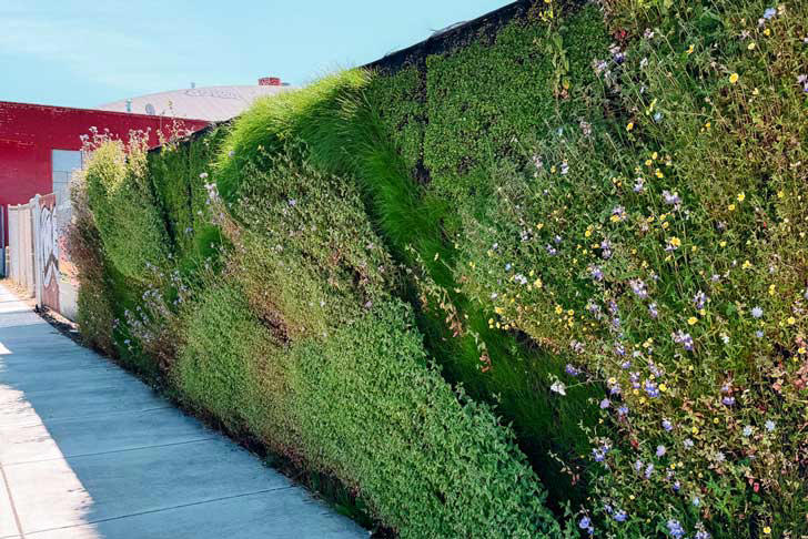 To reduce graffiti, they created a 'living wall' that doubles as a ...
