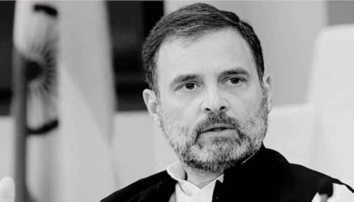  ‘Who Will Vote For Congress Now? Have You Ever Thought About It…’: An Open Letter To Rahul Gandhi After The Bihar Defeat 