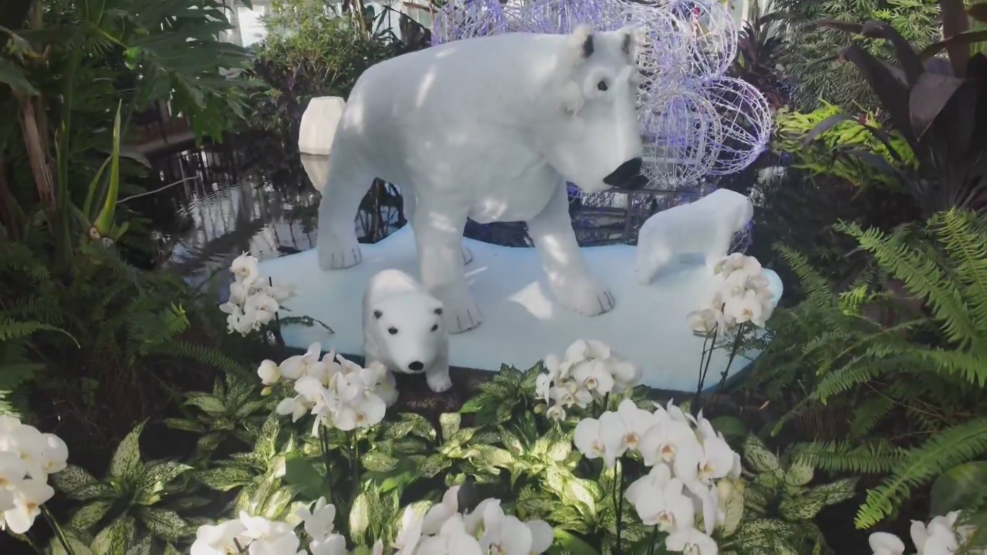 Holiday Magic at Phipps Conservatory