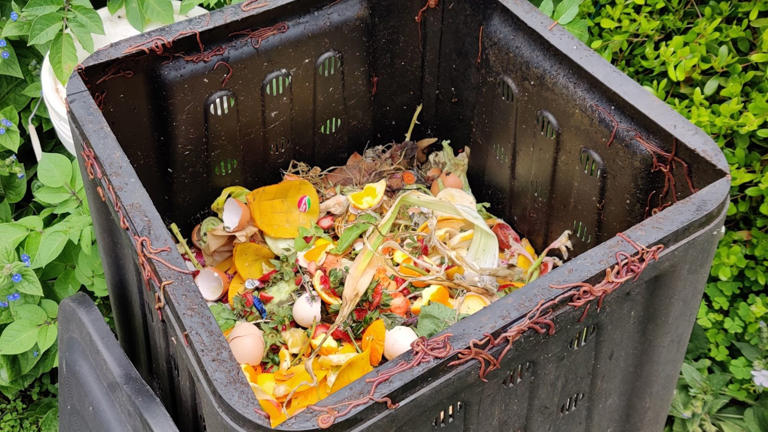 Everything You Should Never Stick In The Compost Bin