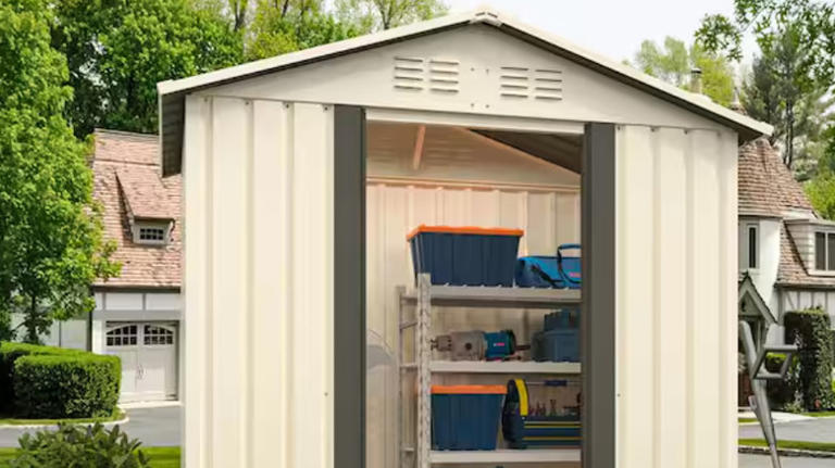 12 Home Depot Storage Sheds Under $200 For Decluttering & Organizing - Decluttering And Organizing A Storage Shed