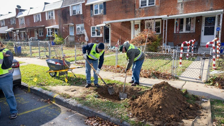 State invests $500k in planting to boost shade, cut stormwater runoff ...
