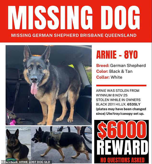 Arnie's owners, the McKeown family, led a desperate search to find their beloved pet dog