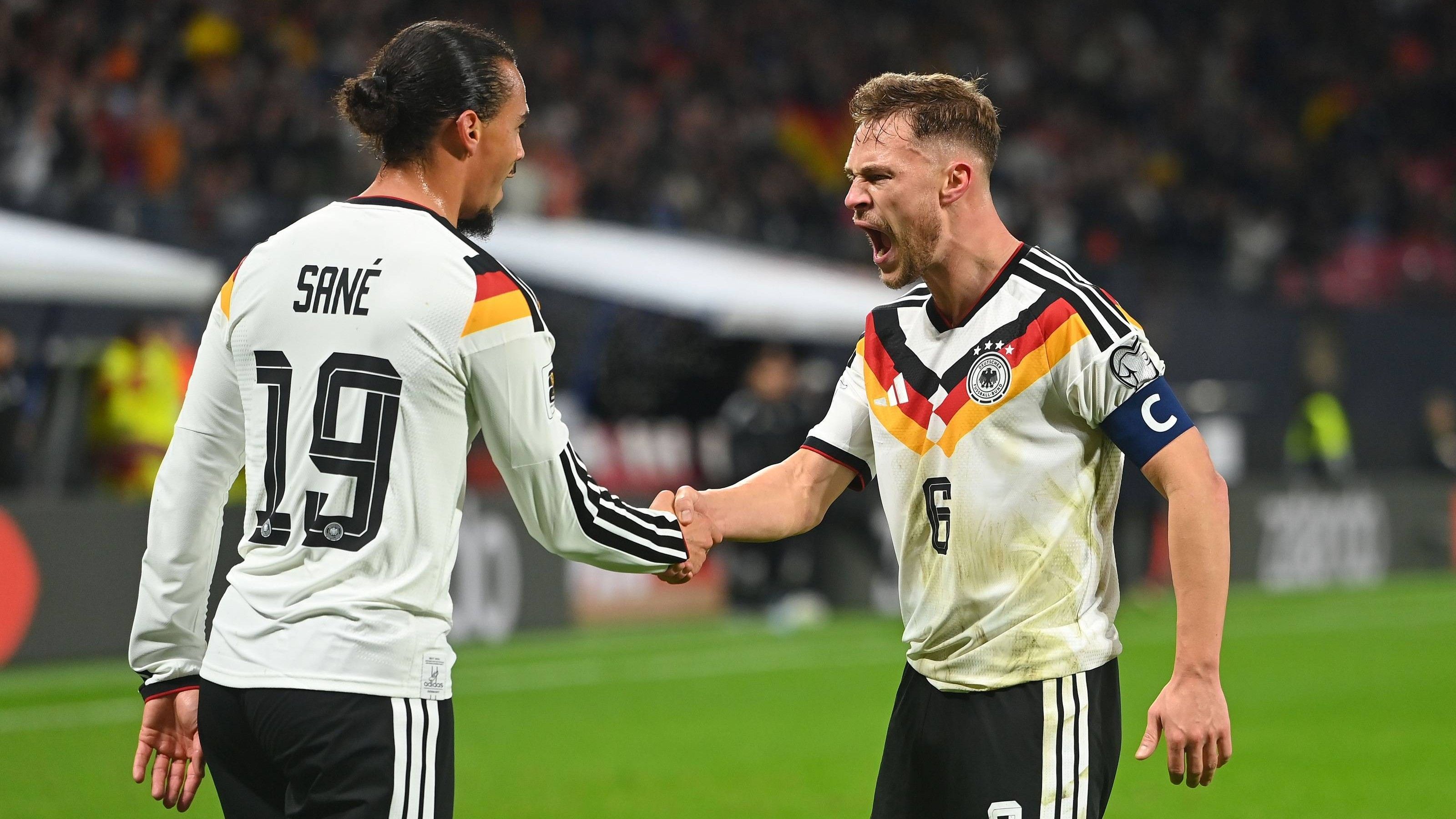 DFB-Team - Fans im Rausch: 