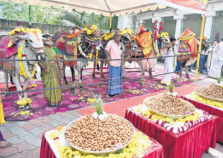 Bengaluru's Kadalekai Parishe draws massive crowds