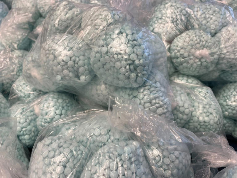 1.7M fentanyl pills found in storage unit mark Colorado’s largest drug ...