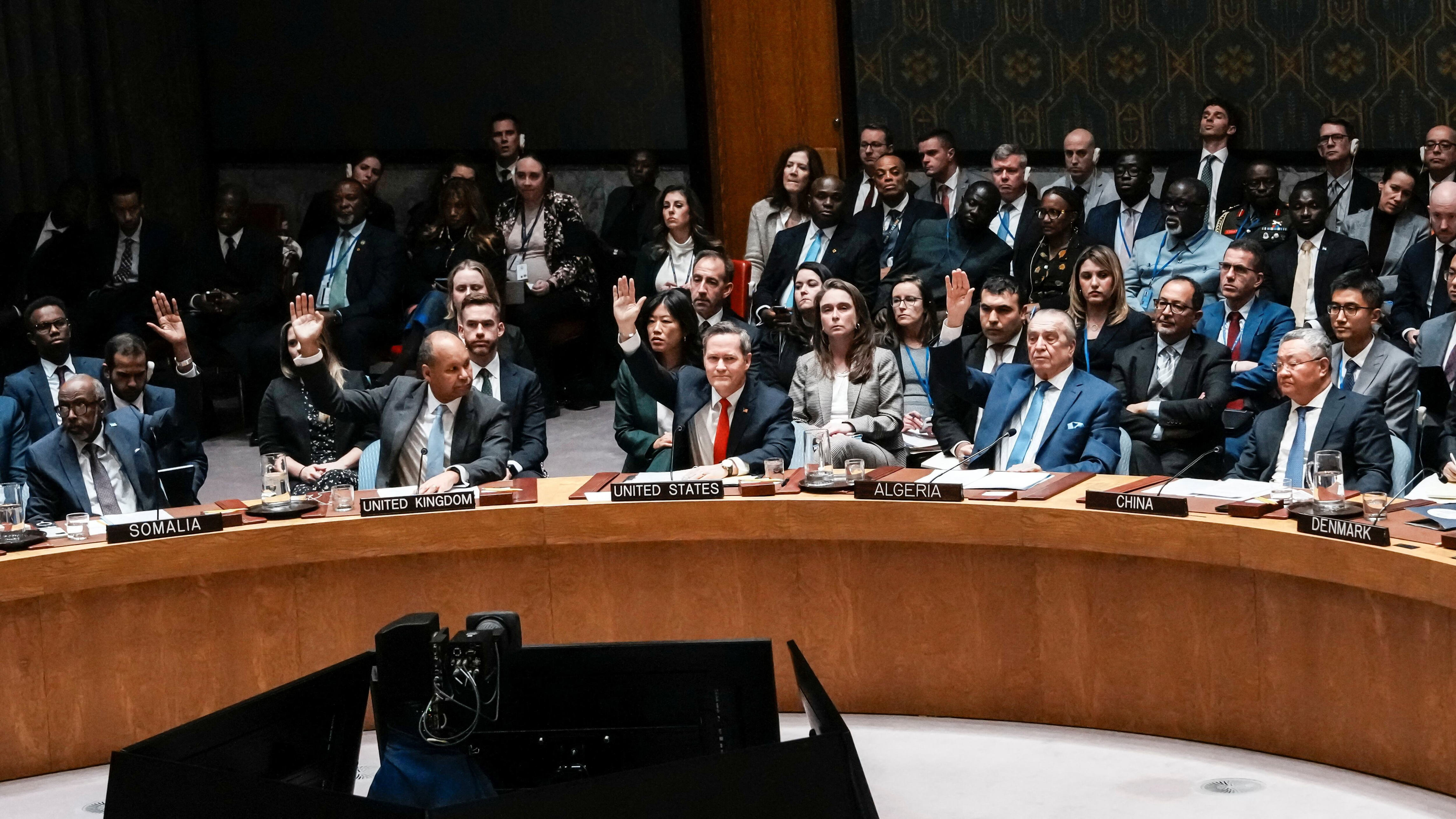 UN Security Council adopts Trump plan for international force in Gaza