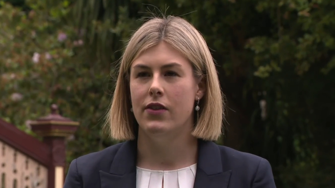 Everything to know about Victoria's first female Liberal Leader Jess Wilson