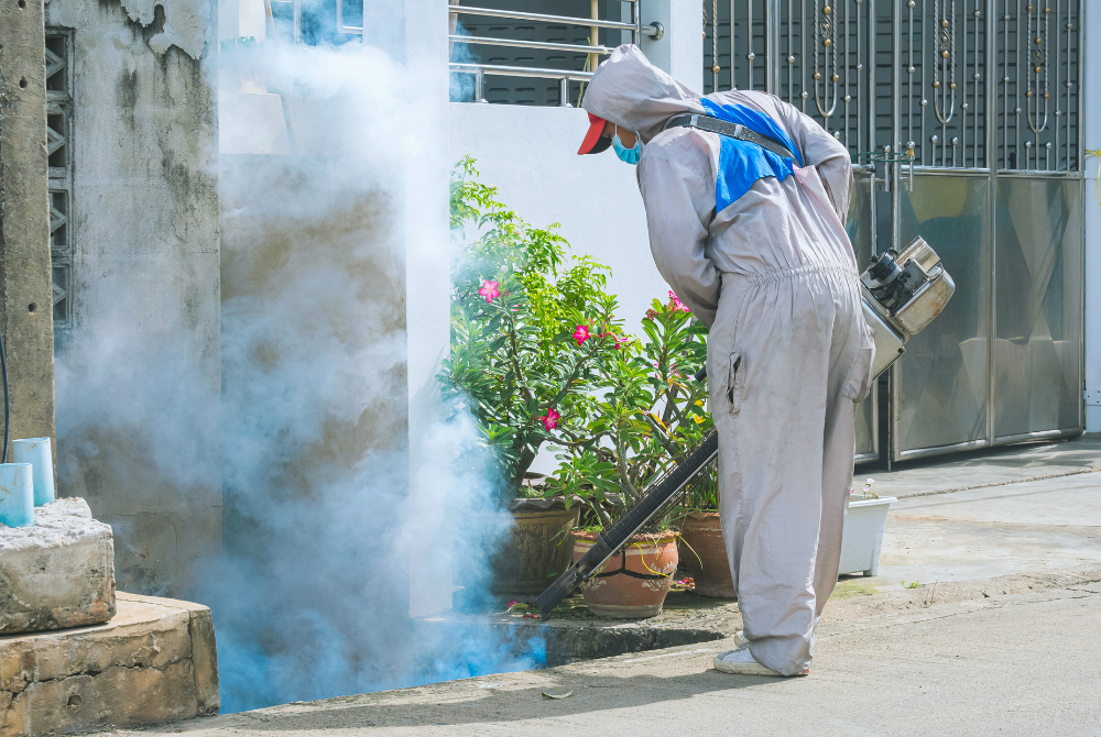Selangor sees 63.8 per cent drop in dengue cases, strengthens control ...
