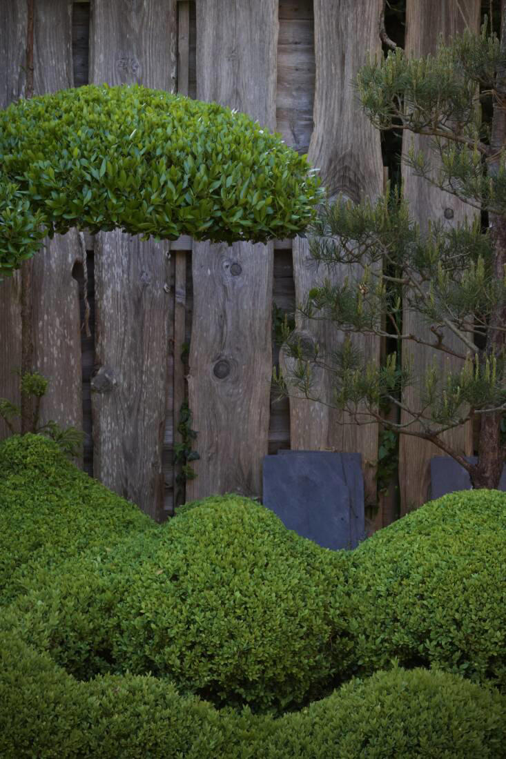 Garden Visit: Niwaki Founder Jake Hobson's Japanese-Inspired Mini
