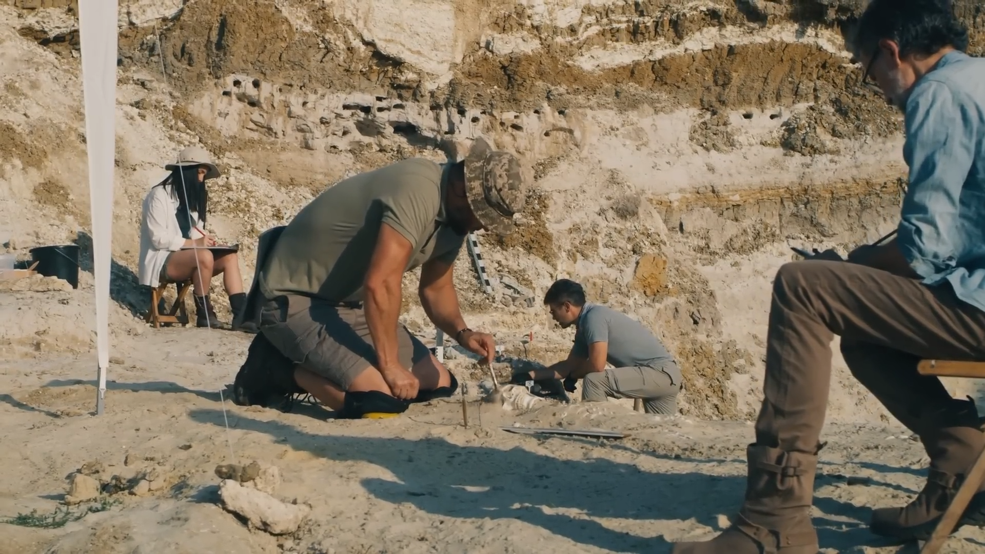 How We Got Here The Full Story of Human Evolution