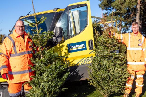 EACH charity Christmas tree recycling scheme expands into Essex