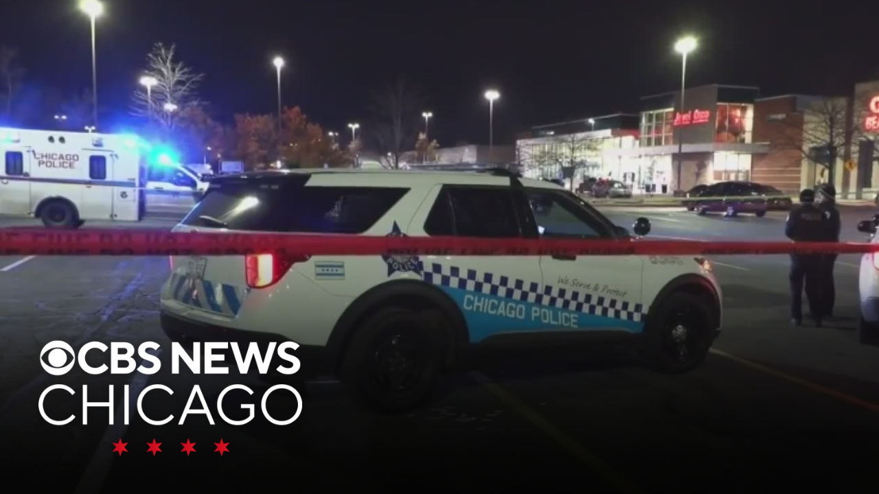 Police searching for driver in deadly hit-and-run on Chicago's South Side