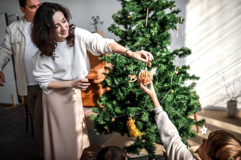 King Charles' ex-gardener shares place you should never put your Christmas tree