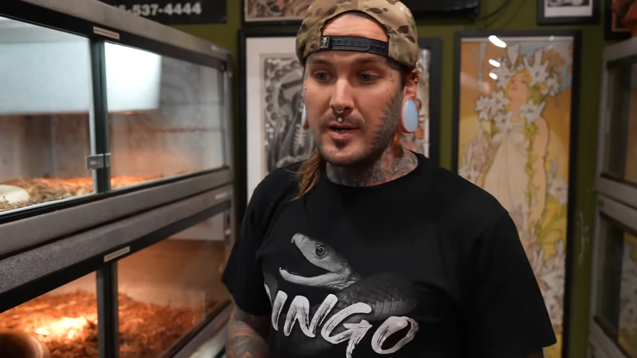 The truth behind my decision to stop keeping venomous animals