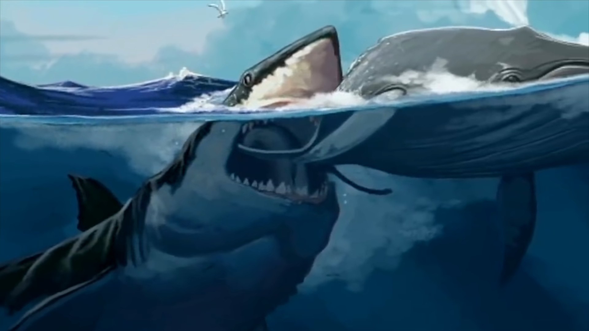 Could the Megalodon survive in today’s ocean