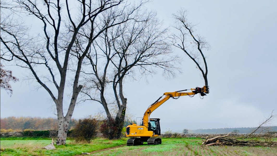 This Giant Saw Clears Trees in Record Time