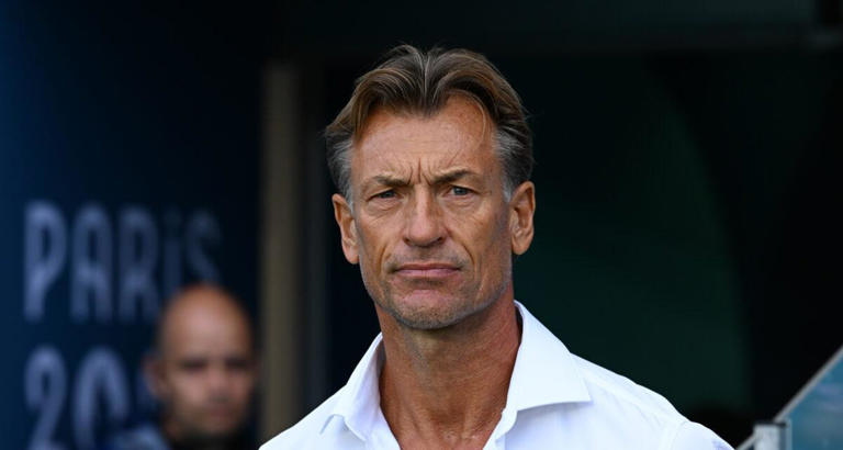 Algérie: Hervé Renard sélectionneur de l'Algérie, la belle annonce. Au moins ils savent ce qu'ils veulent, ça nous change des apprentis entraineurs sans palmarès, et de la merde et des magouilles Camerounaise