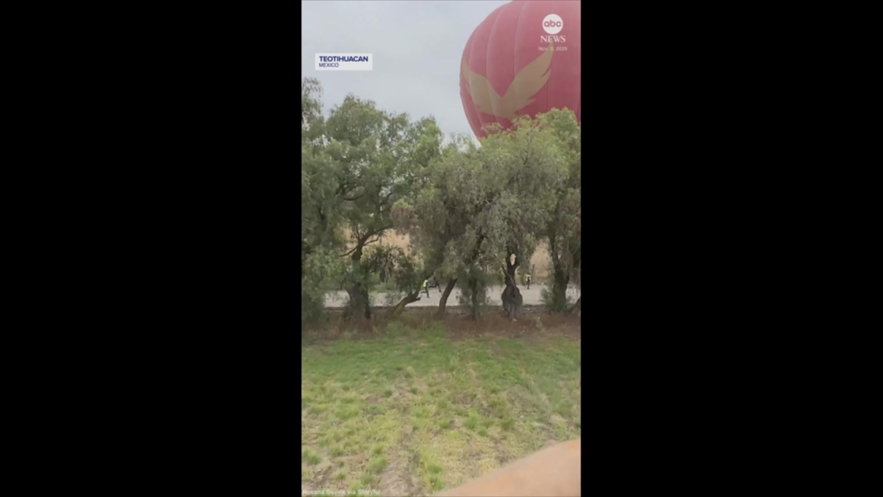 Hot-air balloon riders crash into trees in Mexico