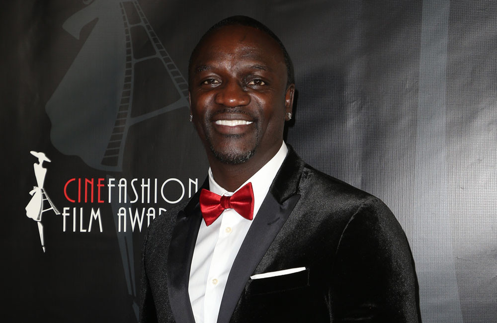 Akon is seeking joint custody of
